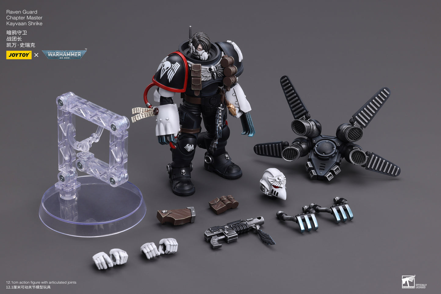 Raven Guard Chapter Master Kayvaan Shrike