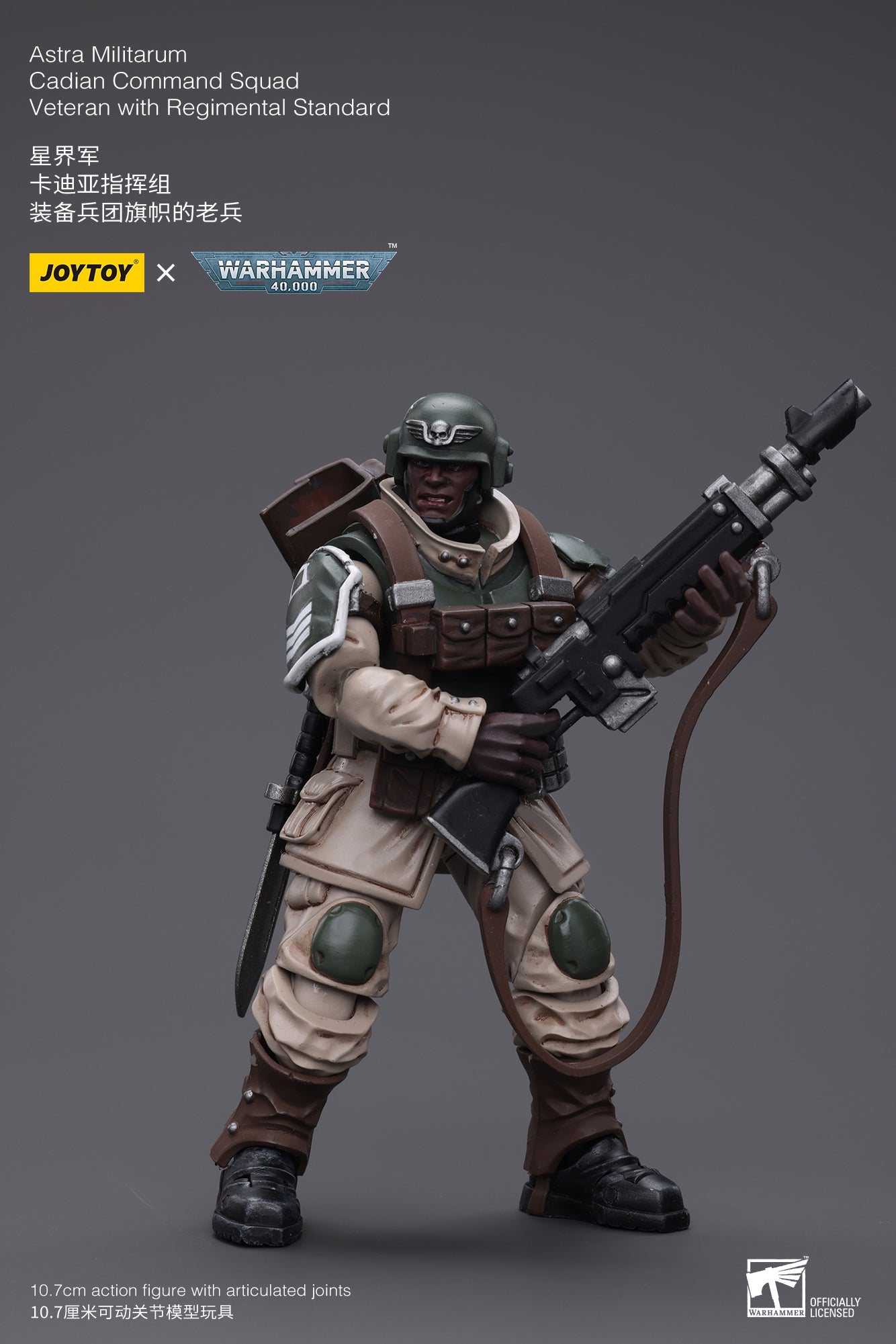 Astra Militarum Cadian Command Squad Veteran with Regimental Standard - Warhammer 40K Action Figure By JOYTOY
