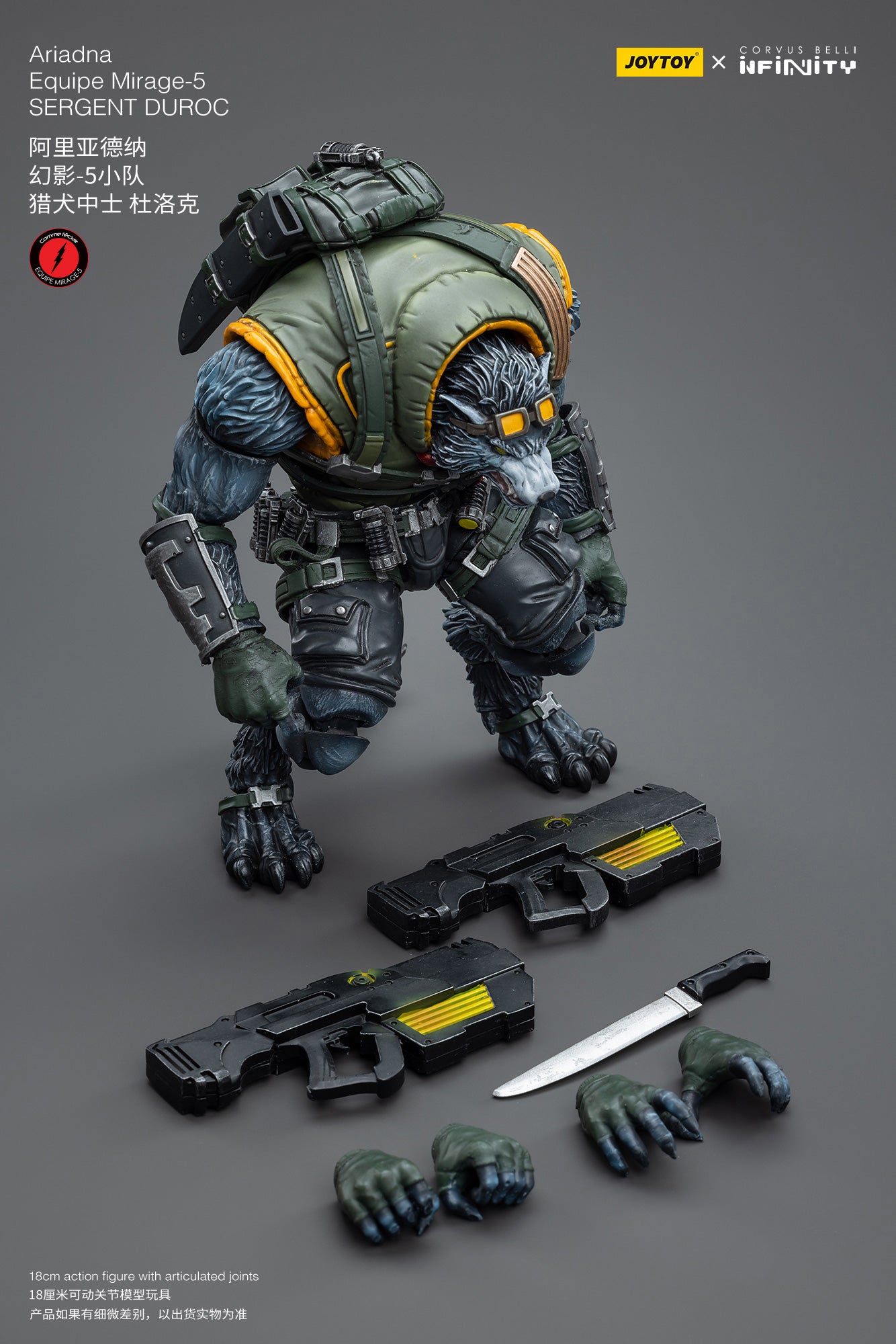 Ariadna Equipe Mirage-5 - Action Figure By JOYTOY