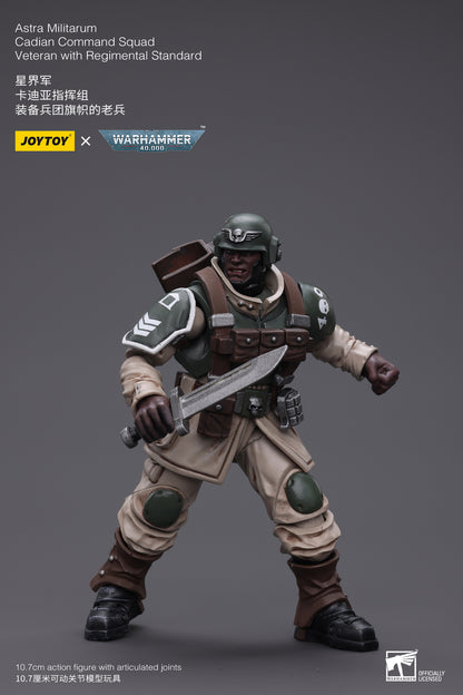 Astra Militarum Cadian Command Squad Veteran with Regimental Standard - Warhammer 40K Action Figure By JOYTOY