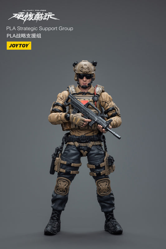 PLA Strategic Support Group - Military Action Figure By JOYTOY