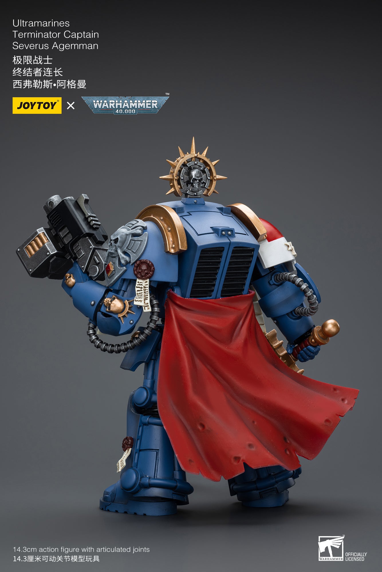 Ultramarines Terminator Captain Severus Agemman- Warhammer 40K Action ...