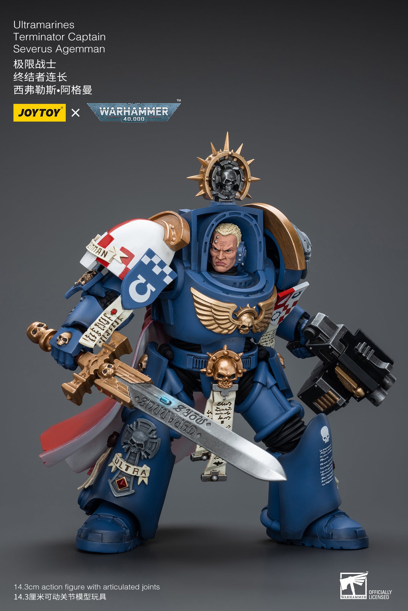 Ultramarines Terminator Captain Severus Agemman- Warhammer 40K Action ...