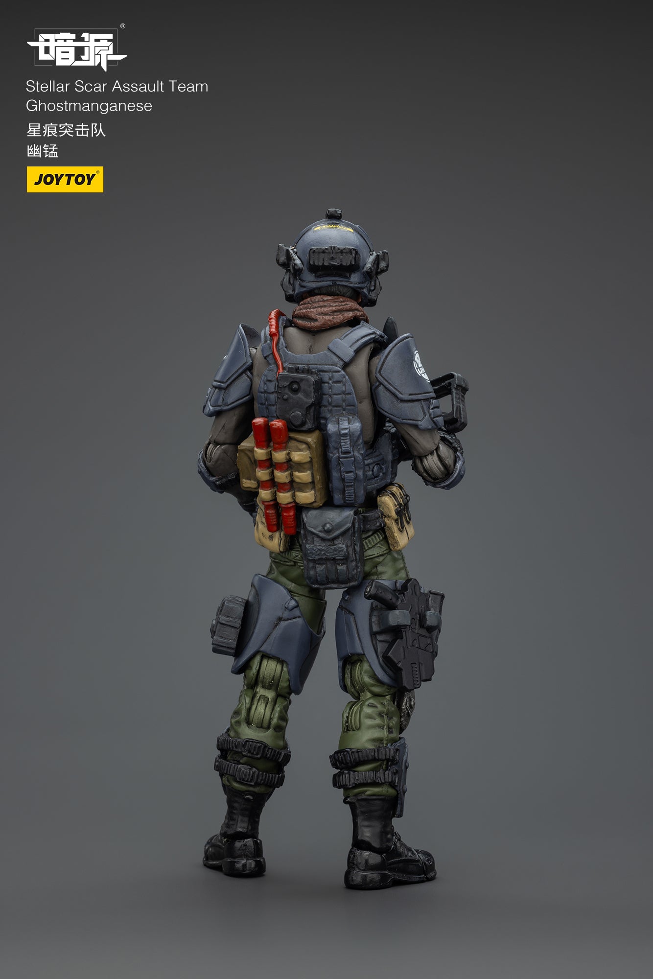 1/18 Stellar Scar Assault Team- Action Figure by JOYTOY