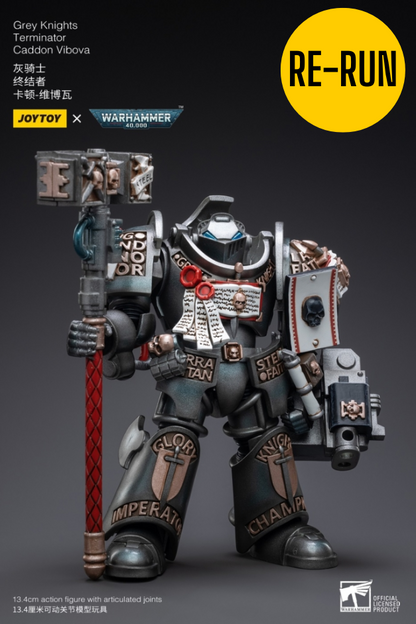 Grey Knights Terminator Caddon Vibova - Warhammer 40K Action Figure By JOYTOY